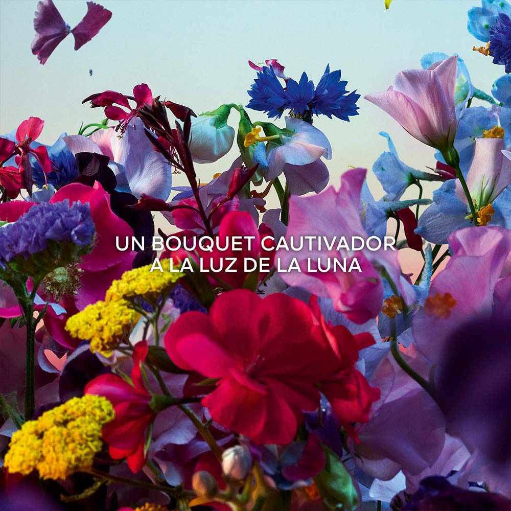 ABSOLUS ALLEGORIA FLORABLOOM EAU DE PARFUM